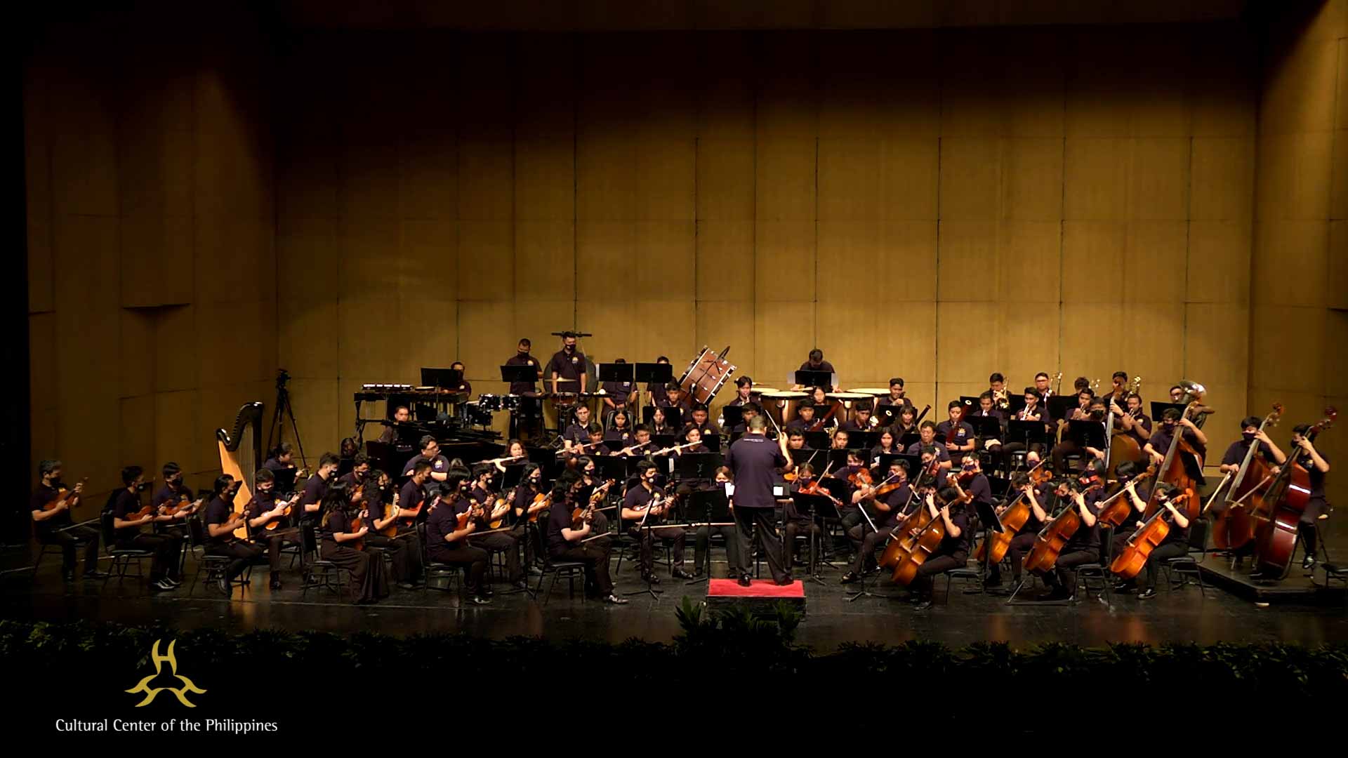 NAMCYA Orchestra of the Filipino Youth: Celebrating Ten Years of Music Image